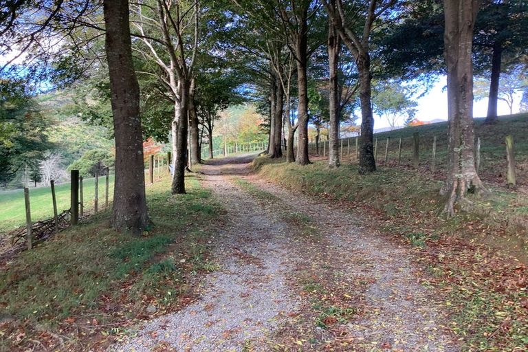 Photo of property in 759 Wakamarina Road, Wakamarina, Havelock, 7178