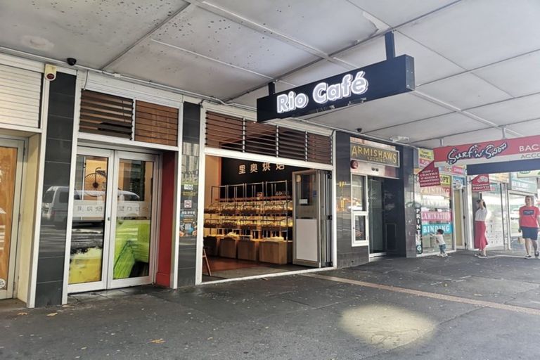 Photo of property in 100 Albert Street, Hamilton East, Hamilton, 3216