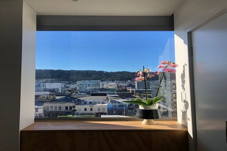 Photo of property in Rostrevor House, 7/130a Vivian Street, Te Aro, Wellington, 6011