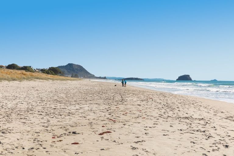 Photo of property in 115 Links Avenue, Mount Maunganui, 3116