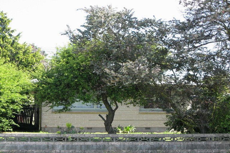 Photo of property in 15 Rowses Road, Aranui, Christchurch, 8061