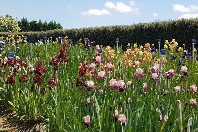 Photo of property in 138 Walford Road, Aongatete, Katikati, 3181