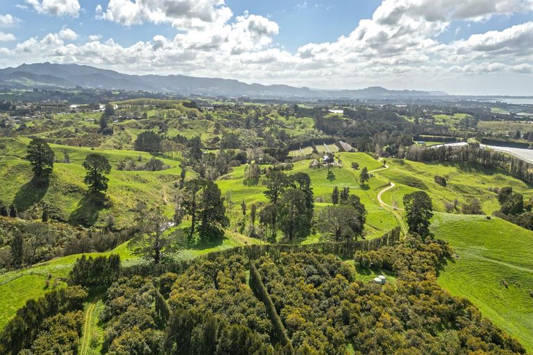 Photo of property in 231 Walford Road, Aongatete, Katikati, 3181