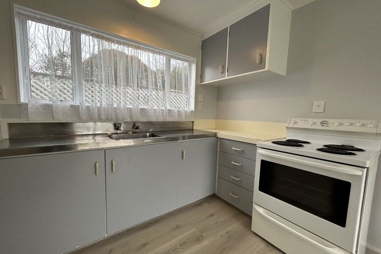 Photo of property in 38 Abbotsford Street, Whitiora, Hamilton, 3200