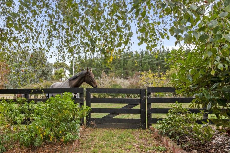 Photo of property in 21 Raumai Road, Bulls, 4894