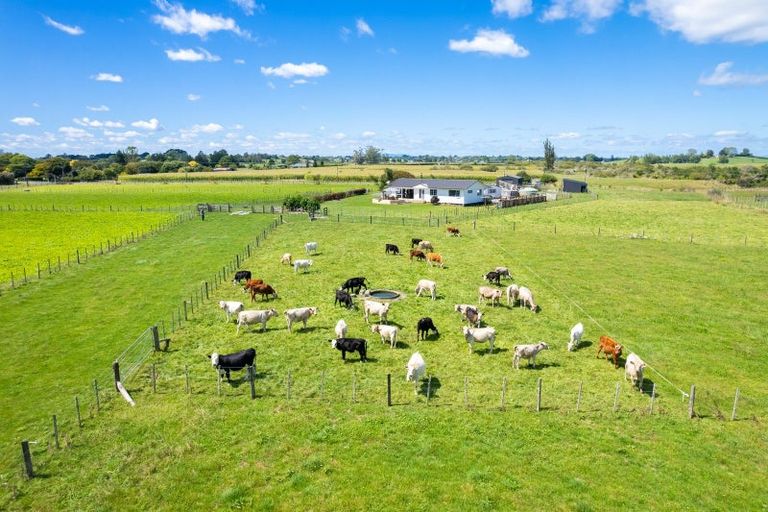 Photo of property in 78 Higginson Road, Ngahinapouri, Hamilton, 3290