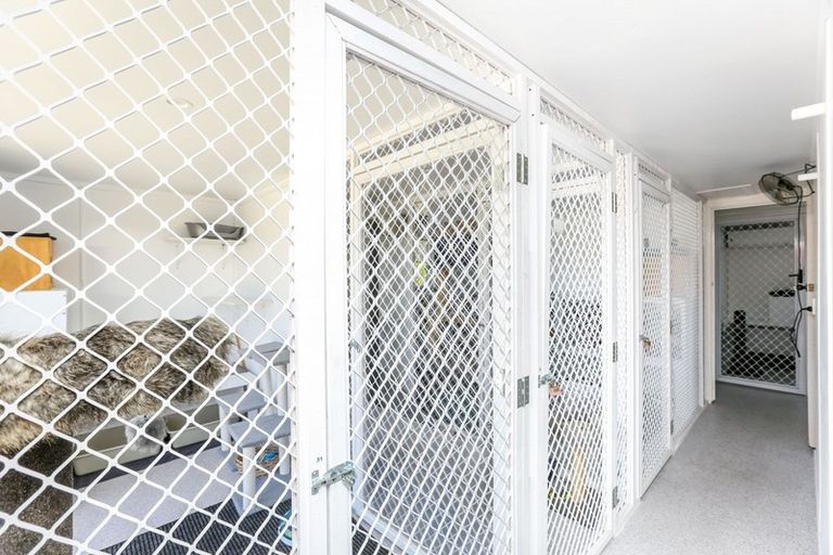 Photo of property in 318 Mountain Road, Lepperton, New Plymouth, 4373