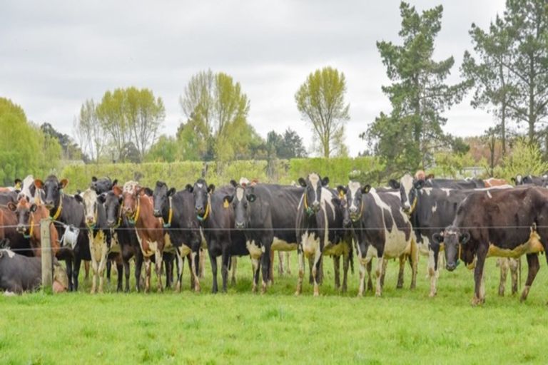 Photo of property in 939 Hudsons Road, Motukarara, Tai Tapu, 7674