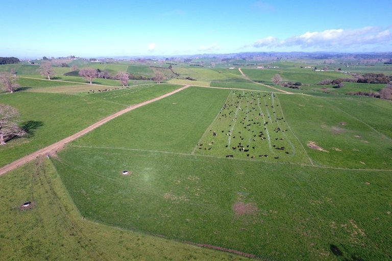Photo of property in 233b Kio Kio Station Road, Otorohanga, 3974