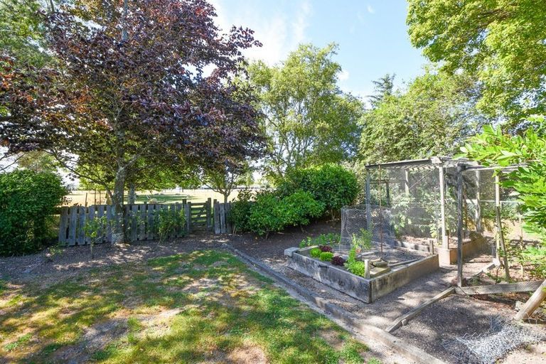 Photo of property in 19 Taverner Street, Carterton, 5713