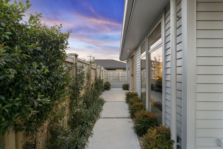 Photo of property in 16 Cassinia Close, Papamoa Beach, Papamoa, 3118