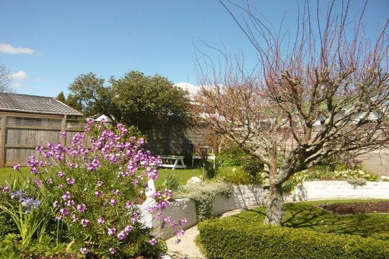 Photo of property in 3 Garnett Avenue, Forest Lake, Hamilton, 3200