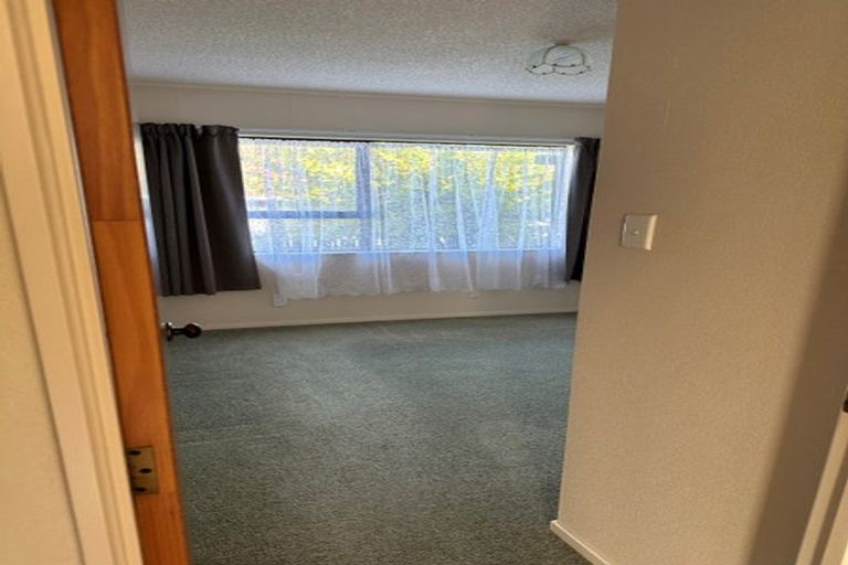 Photo of property in 1236a Cameron Road, Gate Pa, Tauranga, 3112