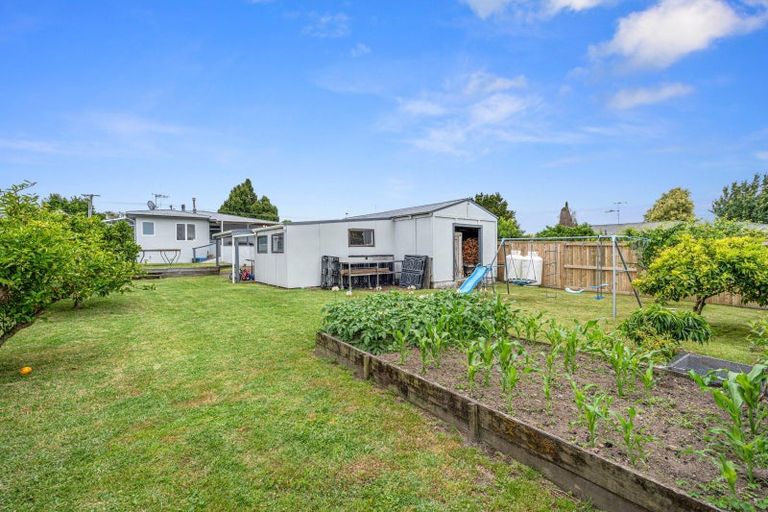 Photo of property in 114 Cameron Road, Te Puke, 3119