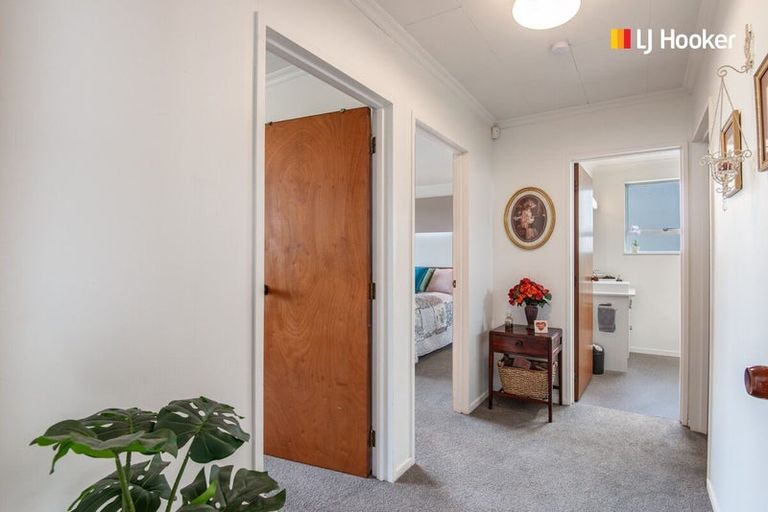 Photo of property in 13a Helena Street, Forbury, Dunedin, 9012