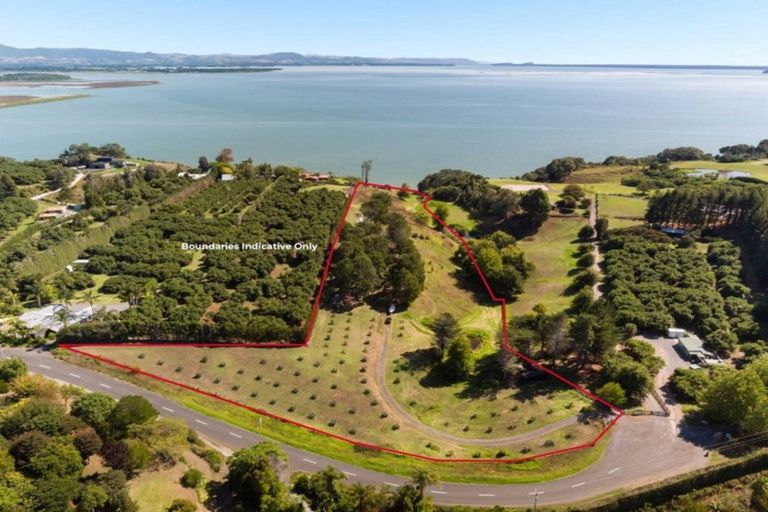 Photo of property in 331 Pahoia Road, Whakamarama, 3172