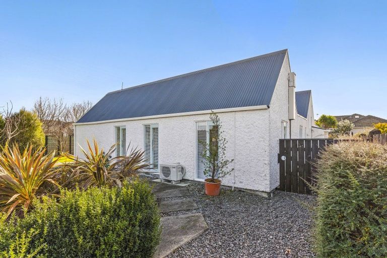 Photo of property in 58 Read Street, Levin, 5510
