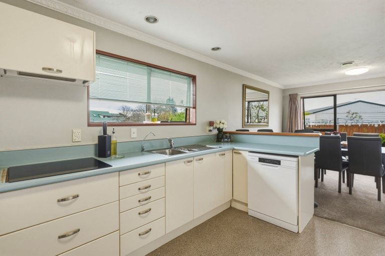 Photo of property in 17 Wickliffe Street, Mosgiel, 9024
