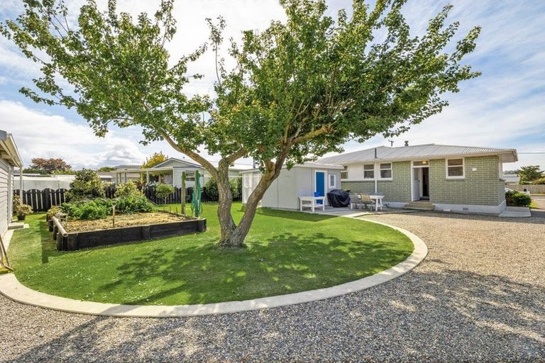 Photo of property in 113 Beach Street, Waikouaiti, 9510