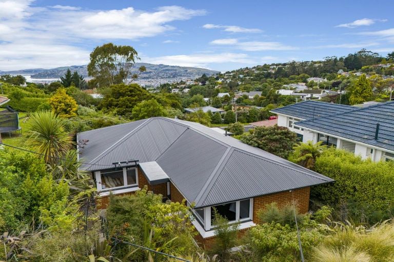 Photo of property in 113 Riselaw Road, Calton Hill, Dunedin, 9012