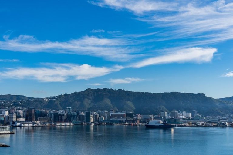 Photo of property in 9/9 Wilkinson Street, Oriental Bay, Wellington, 6011