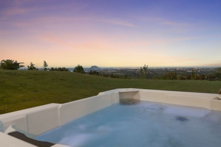 Photo of property in 17 Dawn View Place, Minden, Tauranga, 3176