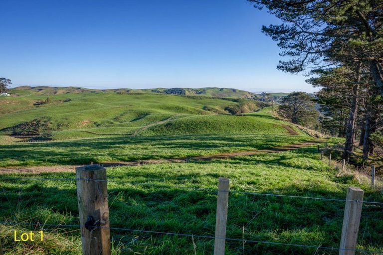 Photo of property in 300 Mcdonald Mine Road, Waikokowai, Huntly, 3771