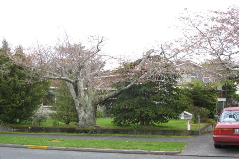 Photo of property in 81 Manu Crescent, Upper Vogeltown, New Plymouth, 4310