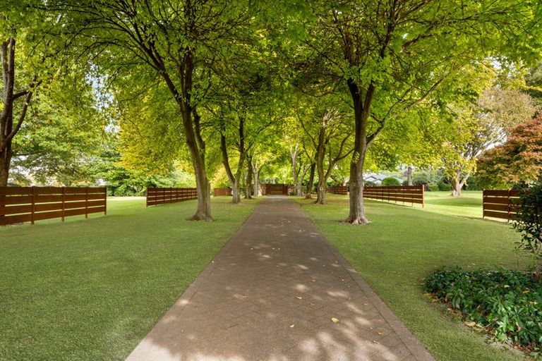 Photo of property in 59a Western Avenue, Omokoroa, 3114