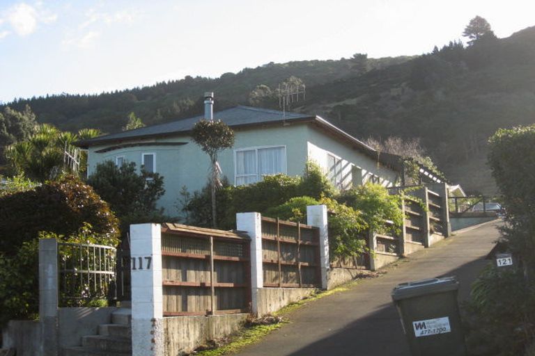 Photo of property in 119 Manapouri Street, Maia, Dunedin, 9022