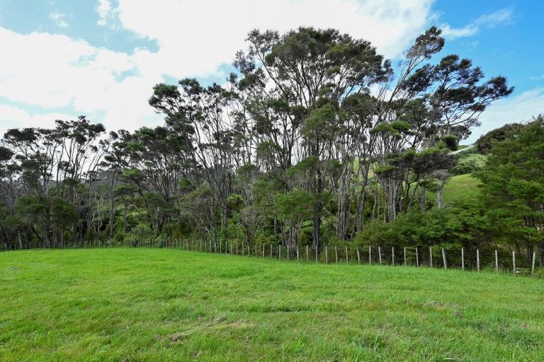 Photo of property in 47b Donaldson Drive, Coatesville, 0793