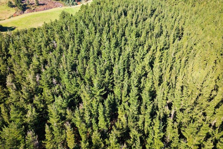 Photo of property in 8p Davaar Road, Greta Valley, 7387