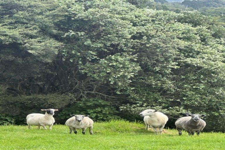 Photo of property in 466 Wairere Road, Waitakere, Auckland, 0782