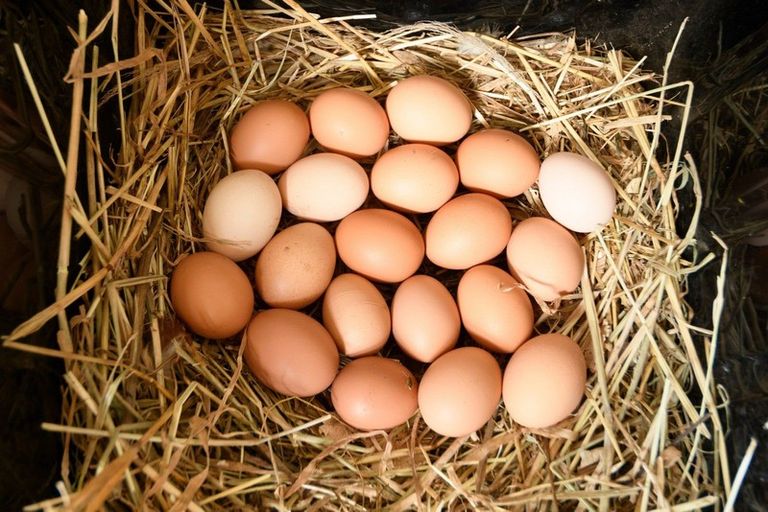 Photo of property in 6c Mclaren Falls Road, Lower Kaimai, Tauranga, 3171