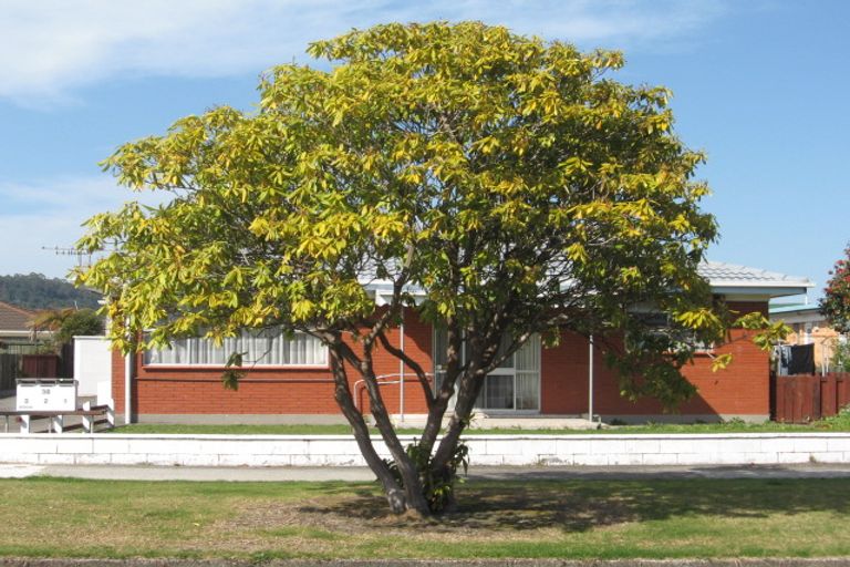 Photo of property in 1/38 Grey Street, Glenholme, Rotorua, 3010