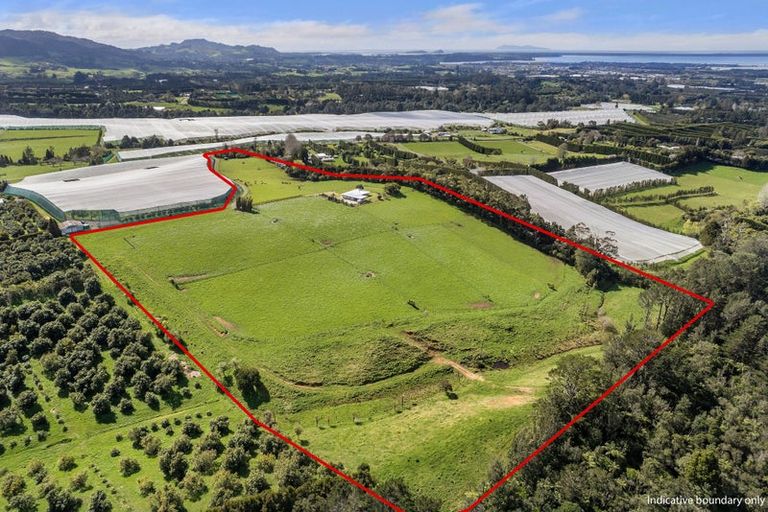 Photo of property in 291 Rea Road, Tahawai, 3178