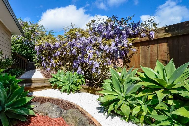 Photo of property in 58b Don Buck Road, Massey, Auckland, 0614