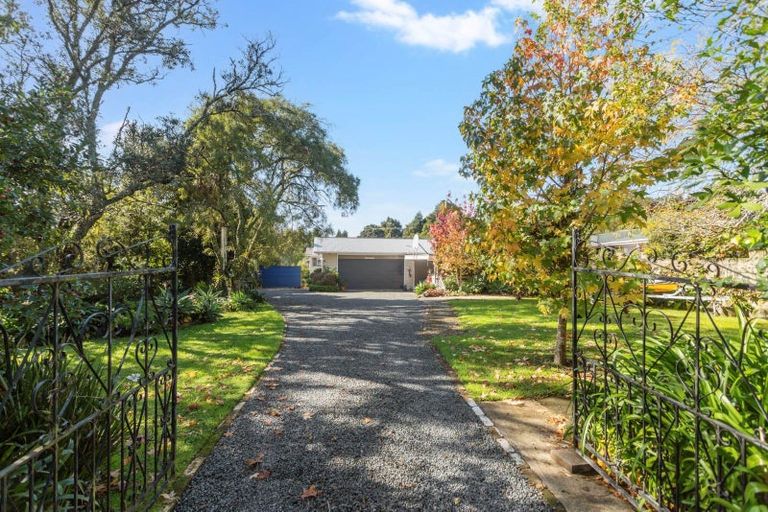 Photo of property in 56 David Avenue, Hillpark, Auckland, 2102