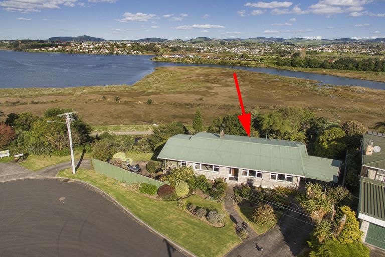 Photo of property in 74 Harrier Street, Parkvale, Tauranga, 3112