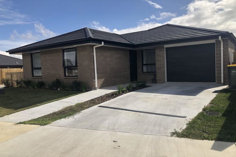 Photo of property in 48 Benjamin Avenue, Rototuna North, Hamilton, 3210