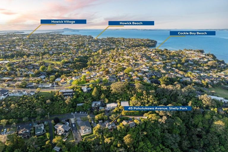 Photo of property in 45 Pohutukawa Avenue, Shelly Park, Auckland, 2014