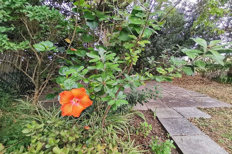 Photo of property in 63 Freyberg Road, Ruawai, 0530