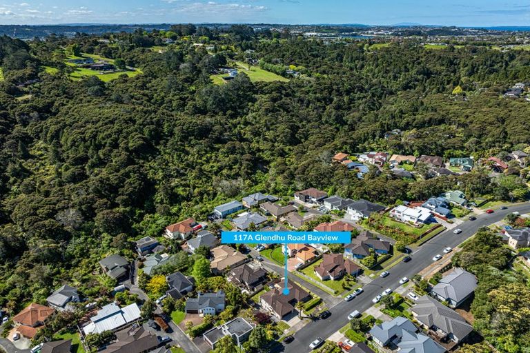 Photo of property in 117a Glendhu Road, Bayview, Auckland, 0629