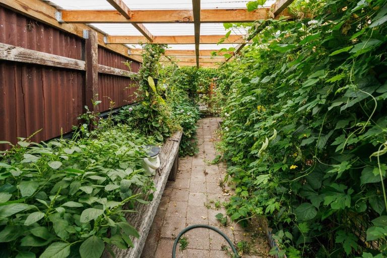 Photo of property in 30 Pharazyn Street, Feilding, 4702