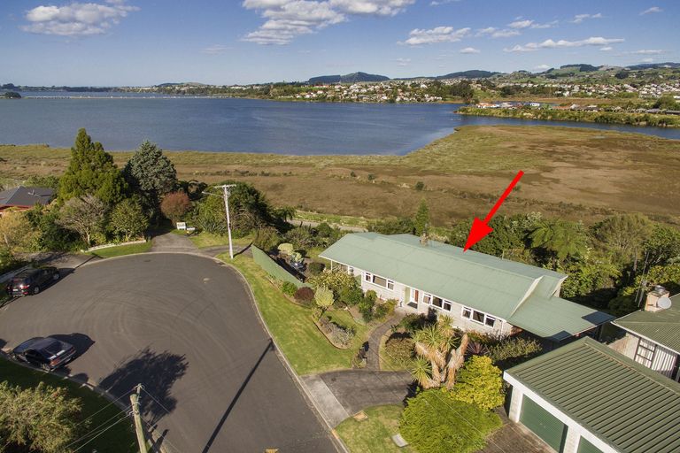 Photo of property in 74 Harrier Street, Parkvale, Tauranga, 3112