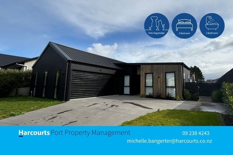 Photo of property in 31 Jonah Lomu Drive, Paerata, Pukekohe, 2124