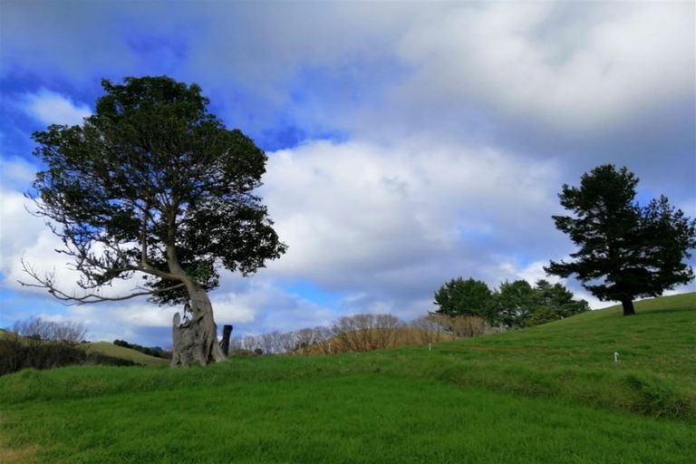 Photo of property in 420 Duncan Road, Kaingaroa, Kaitaia, 0482