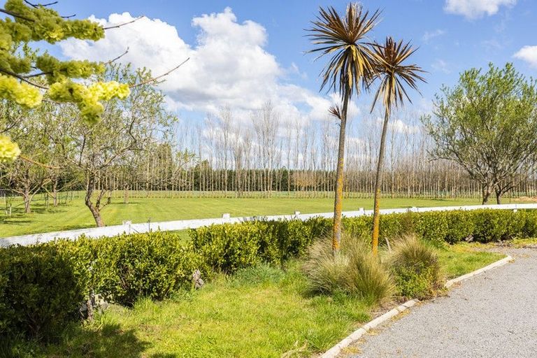 Photo of property in 1468 Tram Road, Swannanoa, Rangiora, 7475