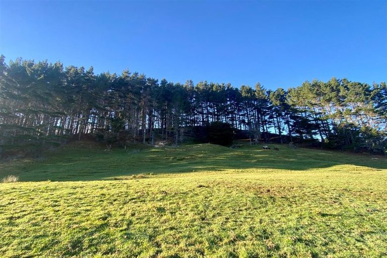 Photo of property in 482 Krippner Road, Puhoi, Warkworth, 0994