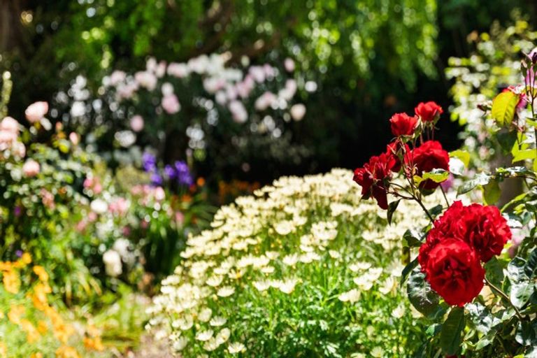 Photo of property in 23 Wharf Road, Clarks Beach, Pukekohe, 2679